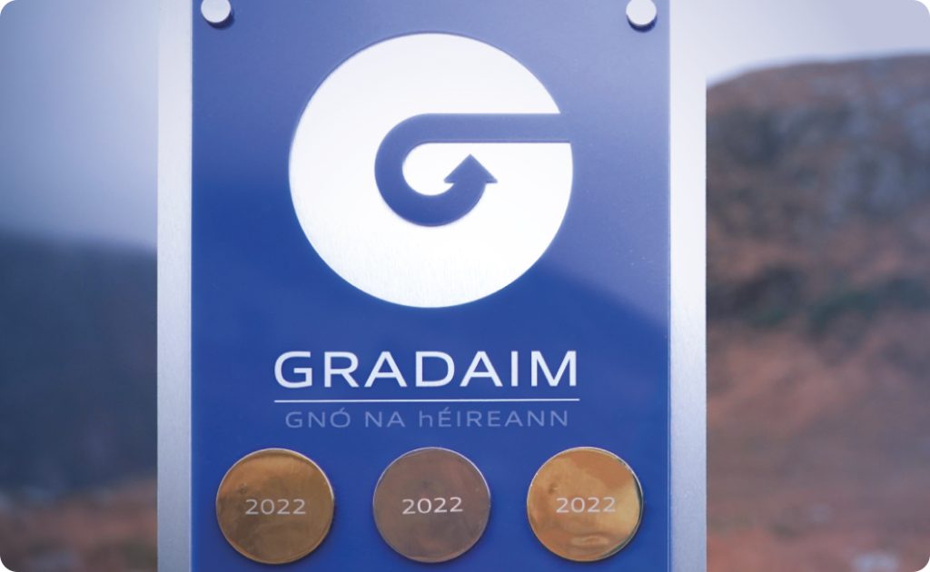 National Identification Scheme for Irish in Business