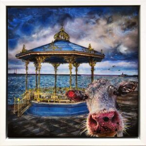 Limited Edition Print Morgan Friesian 🔴