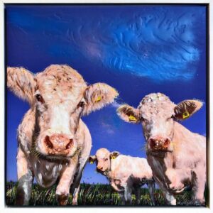 FULL FAT LOW FAT AND SEMI SKIMMED 🔴