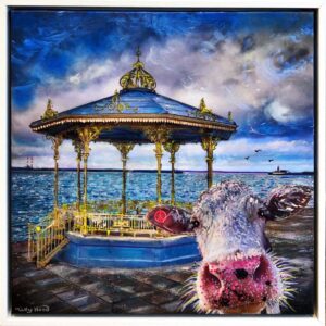 MORGAN FRIESIAN @DUN LAOIGHAIRE