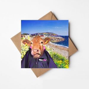 Beef on the Beach @ The Cove, Greystones-The Greeting Card