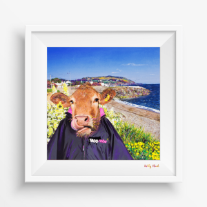 Moo Selfie@ Greystones, Co. Wicklow