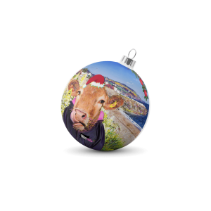 Birch Wood Christmas Ornament-Greystones