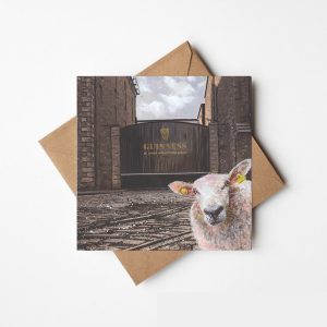 Ewe selfie'@ ST. James' Gate Co. Dublin- Greeting card