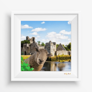 EWESELFIE @ Adare- CO. LIMERICK