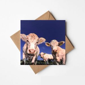 Full fat, low fat & semi-skimmed- The Greeting card