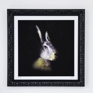 FRAMED Limited Edition Print THE BORN WILD COLLECTION – MYSTIC HARE