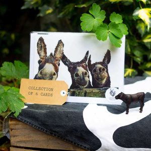 The Born Mucky Collection - Full Greeting 5Cards Pack