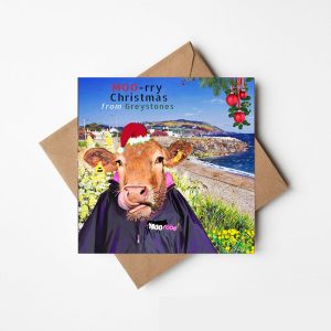 Beef on the Beach @ Greystones, Christmas-The Greeting Card