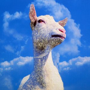 HEAD IN THE CLOUDS 🔴