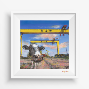 Moo Selfie@ Belfast - Co. Antrim