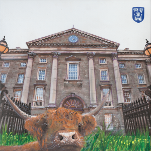 Trinity College Dublin-The Greeting Card